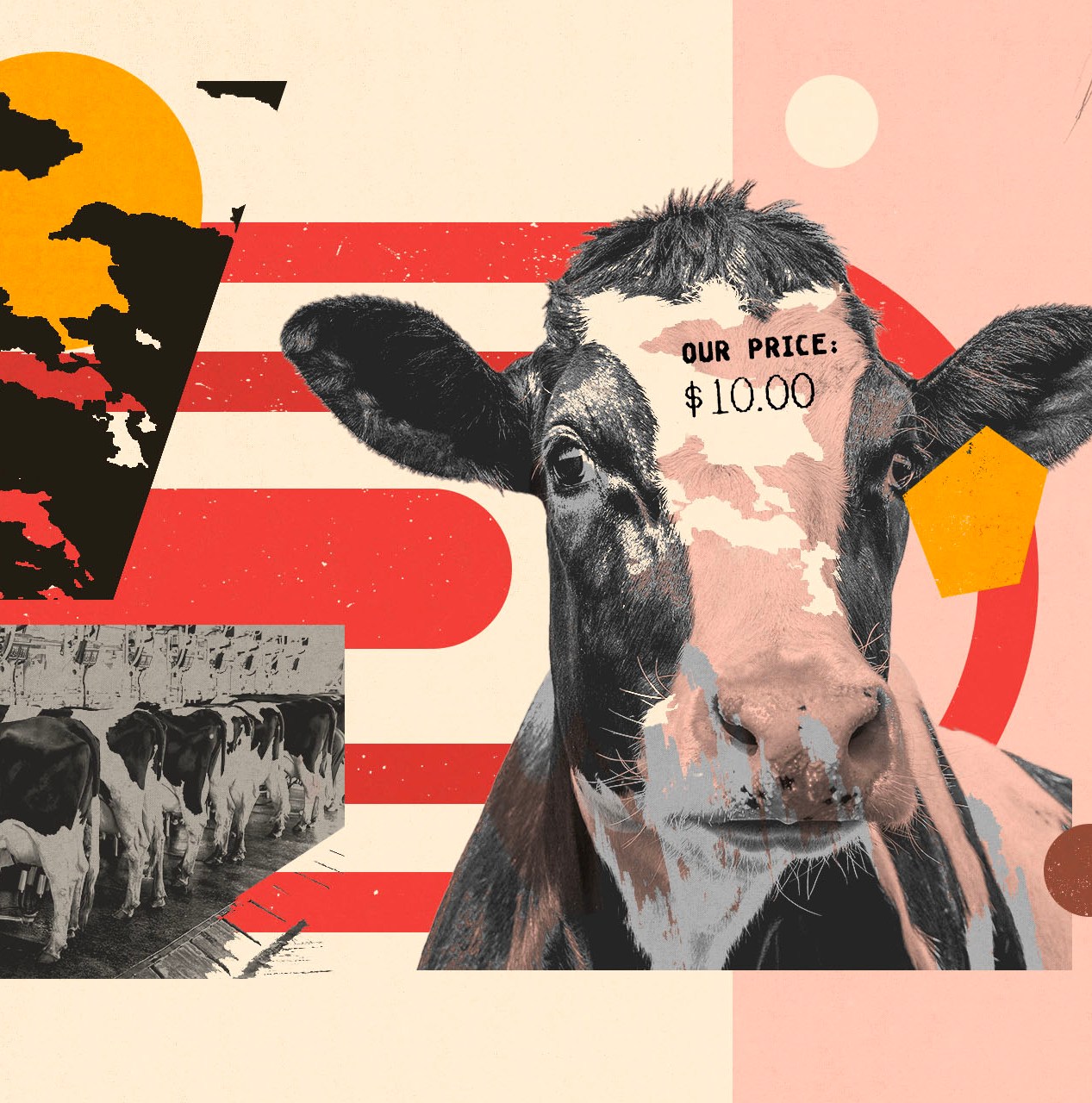 How the most powerful environmental groups help greenwash Big Meat’s climate impact