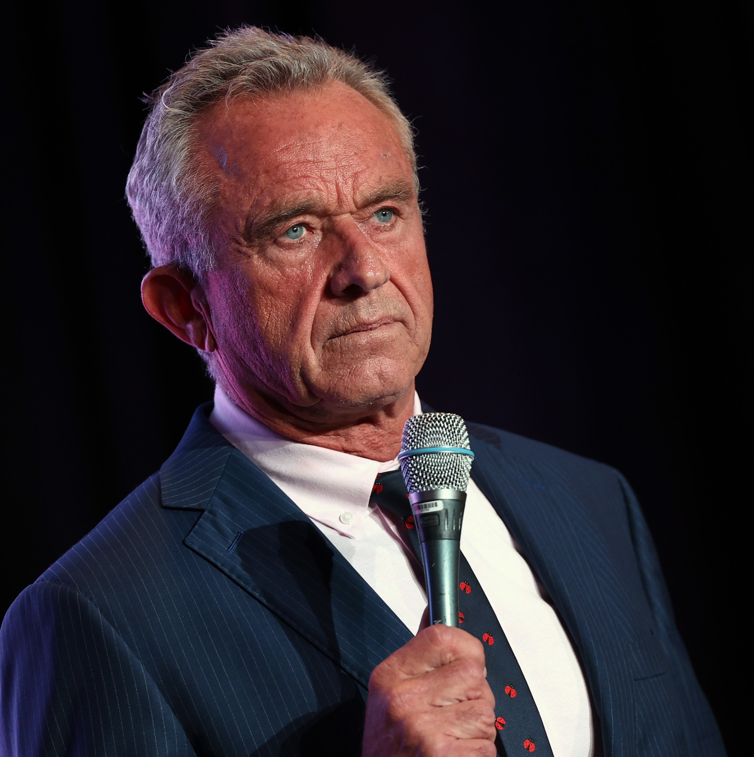 The bizarre RFK Jr. bear incident, briefly explained
