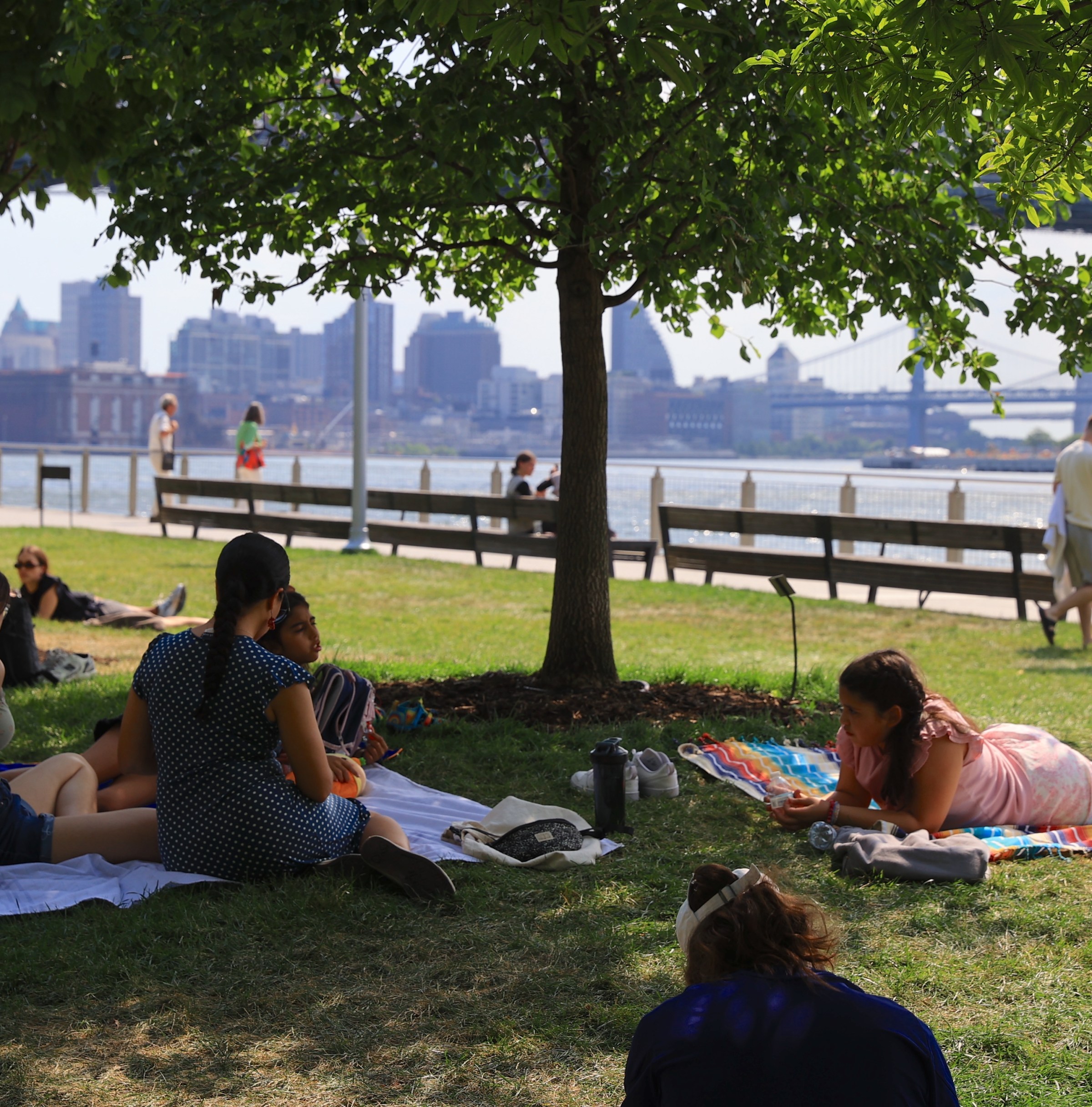 What American cities could do right now to save us from this unbearable heat