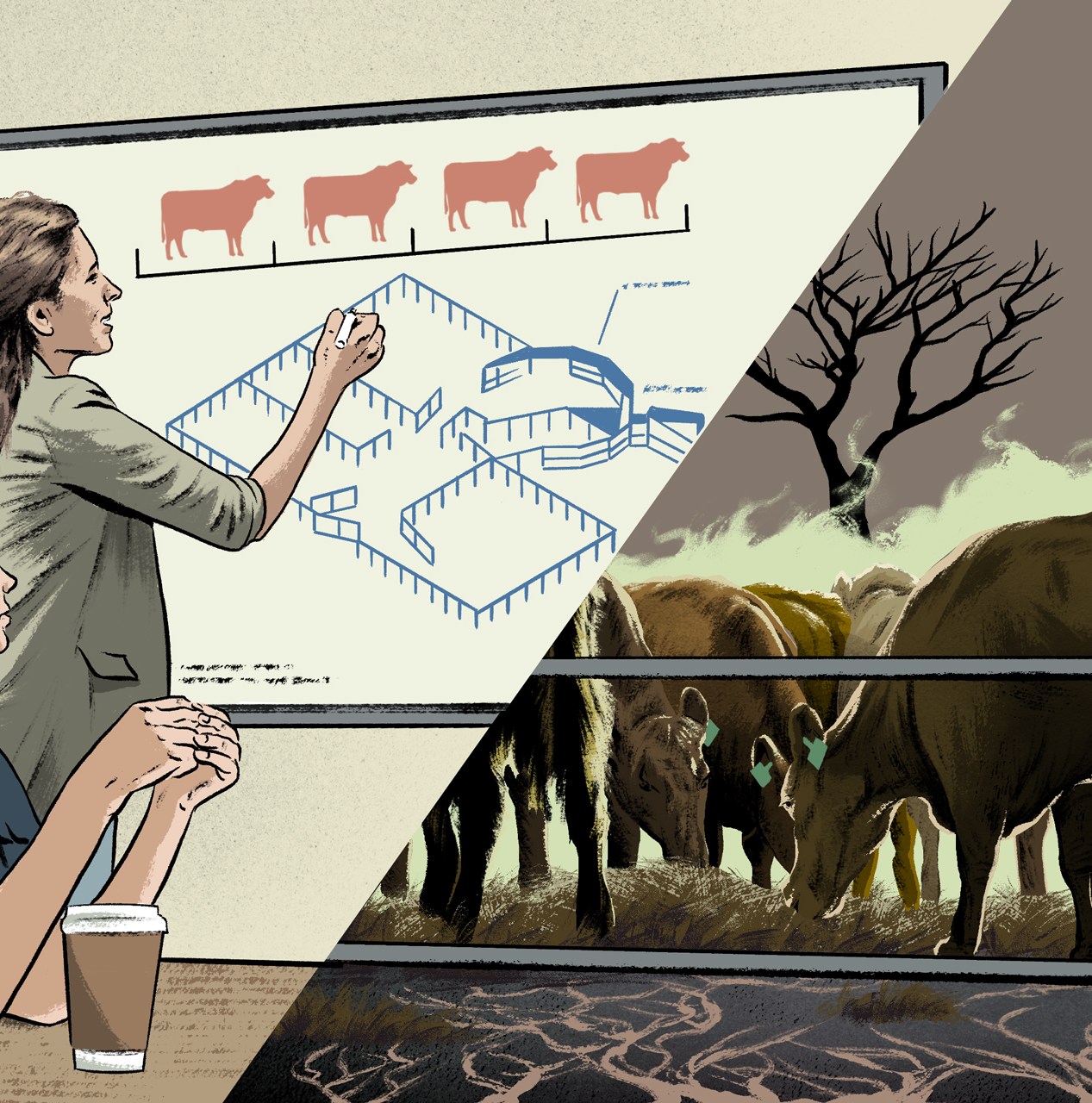 How public universities hooked America on meat